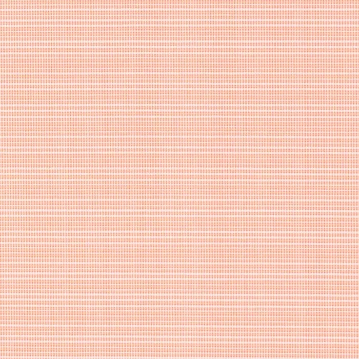 D2840 Salmon