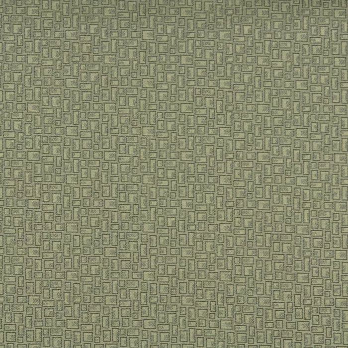 3591 Fern