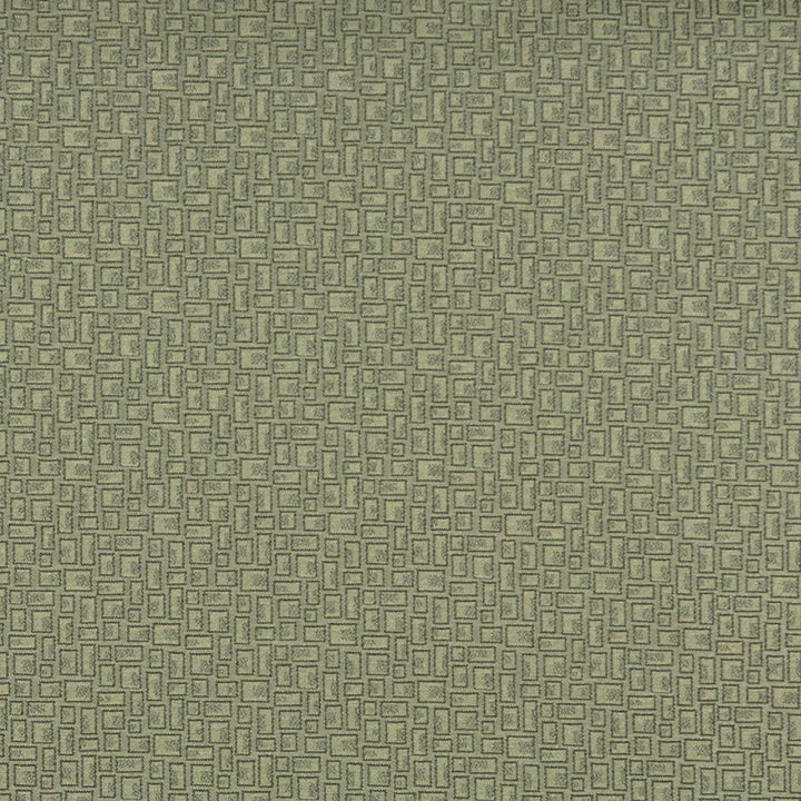 3591 Fern 1