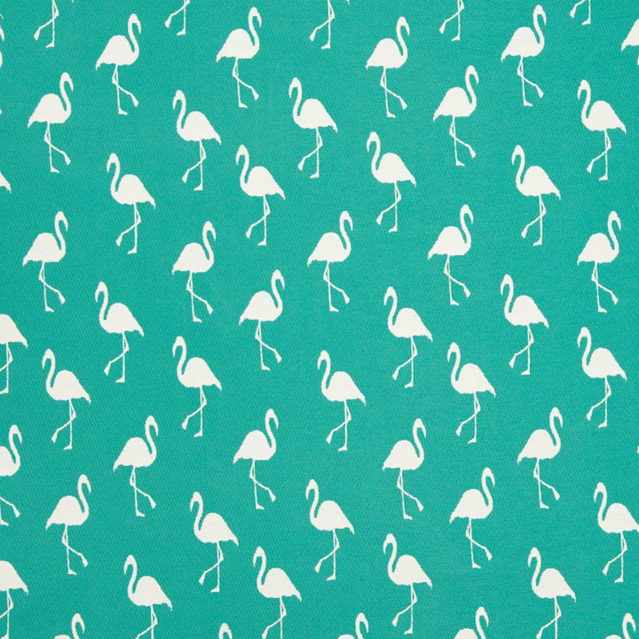 D1436 Lagoon Flamingo 1
