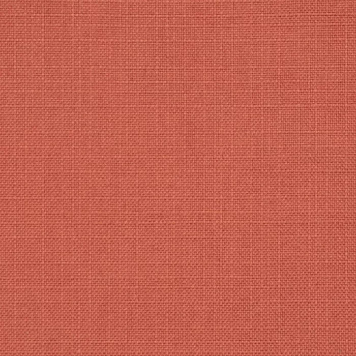D3717 Cinnamon