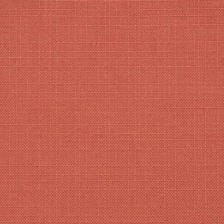 D3717 Cinnamon 1