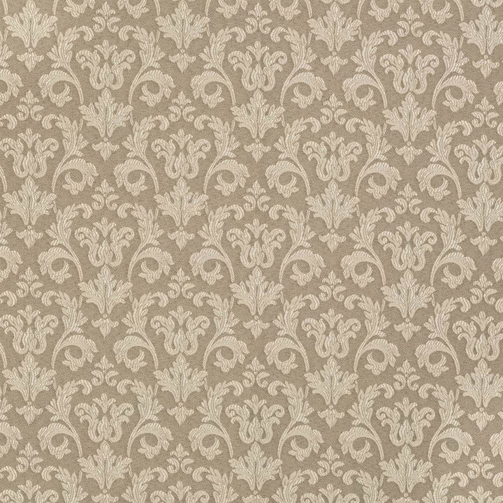 D3235 Beige Belle 1