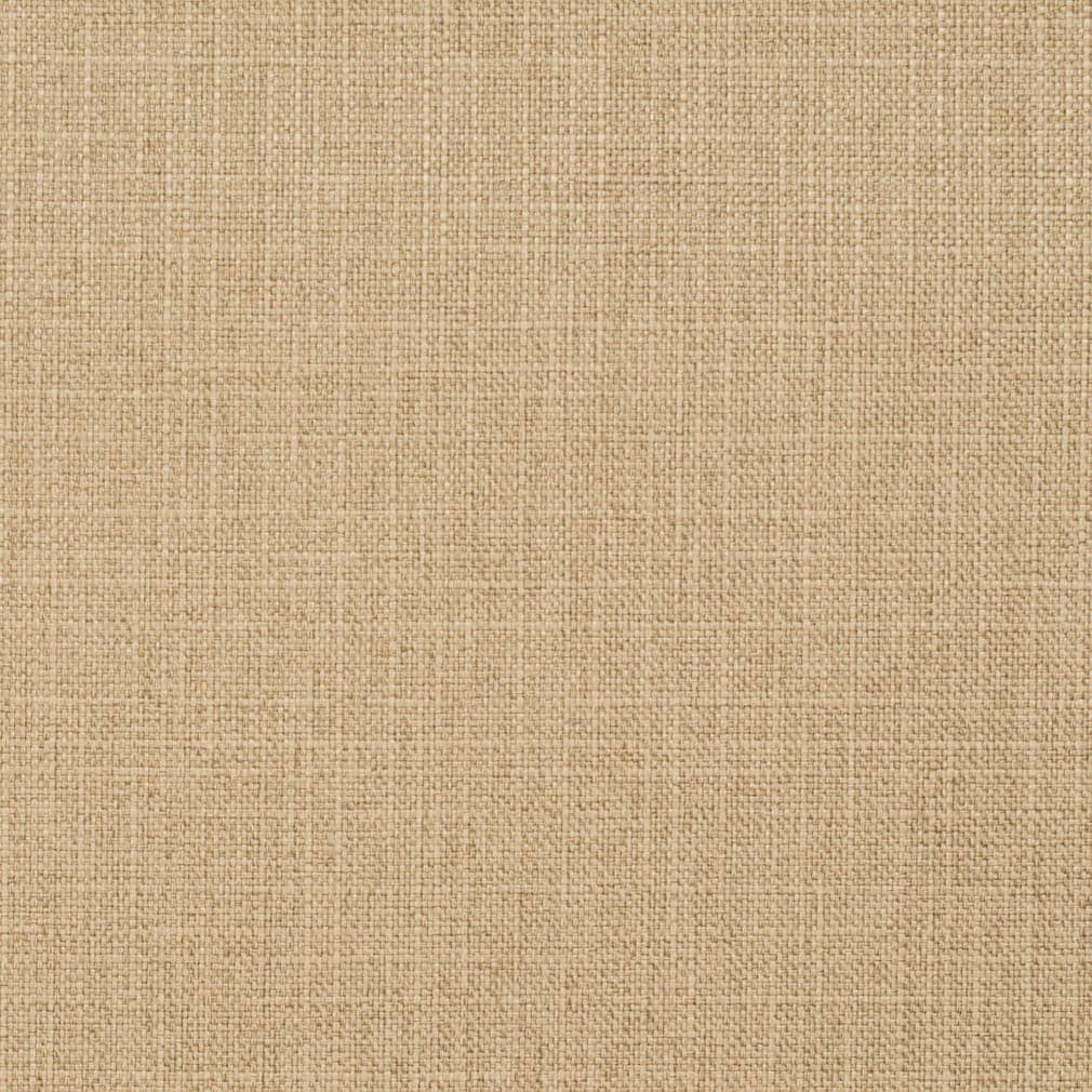 D3746 Almond 1