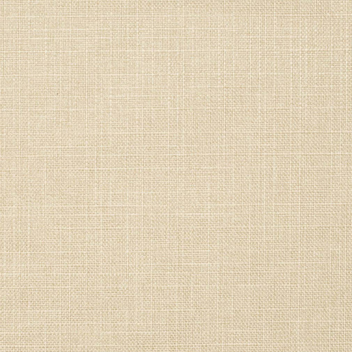 D3739 Bisque 1