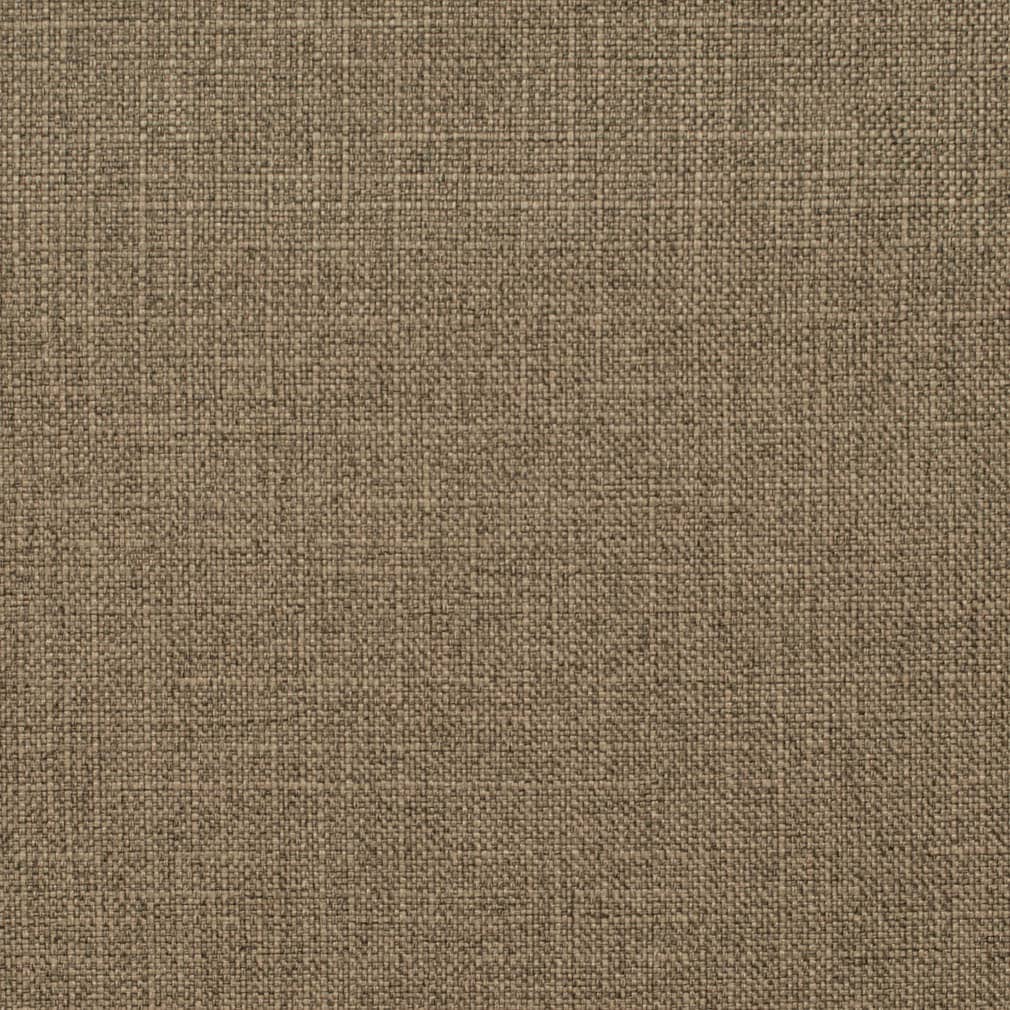 D3721 Bark 1