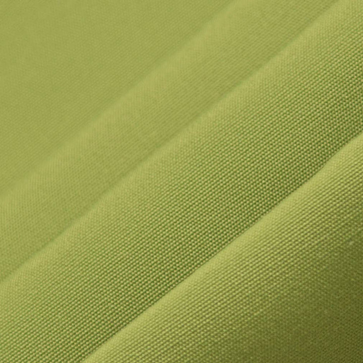 D3451 Lime 2
