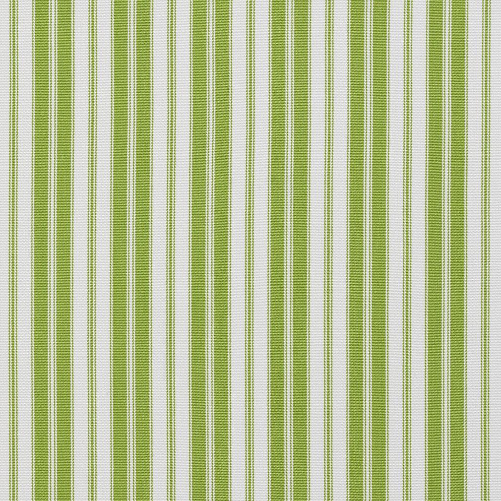 1294 Lime Classic 1