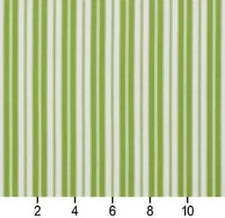 1294 Lime Classic 2