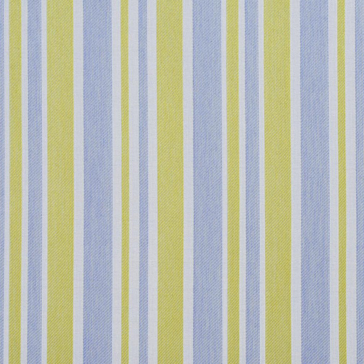 D999 Spring Wide Stripe 1