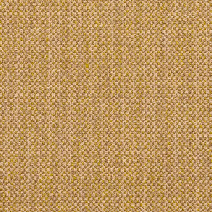 8503 Kiwi