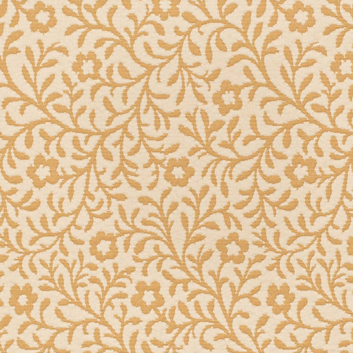 D3598 Honey Petite 1