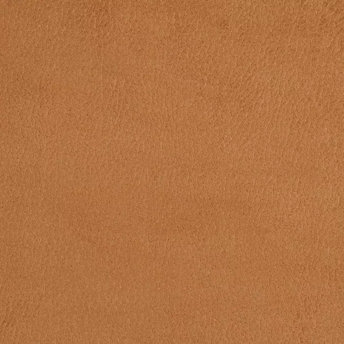 2923 Camel