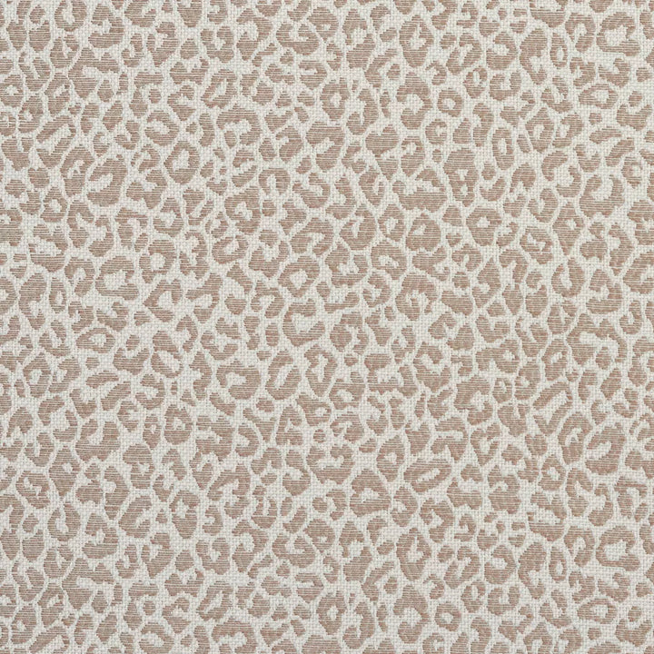 1596 Taupe 1