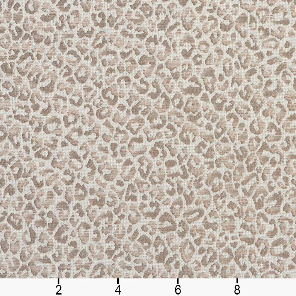 1596 Taupe 2