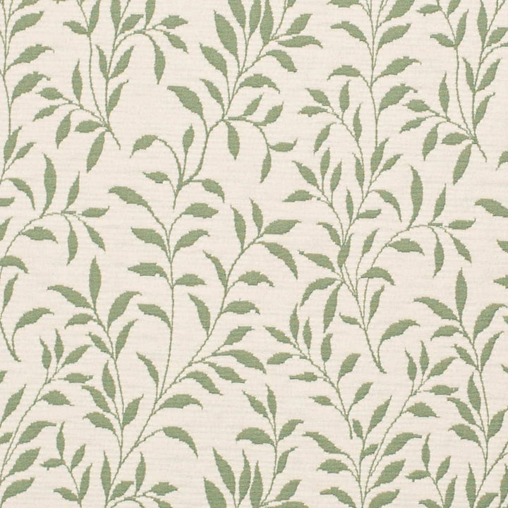 D3586 Green Vine 1