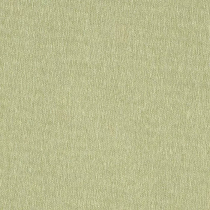 D3641 Moss