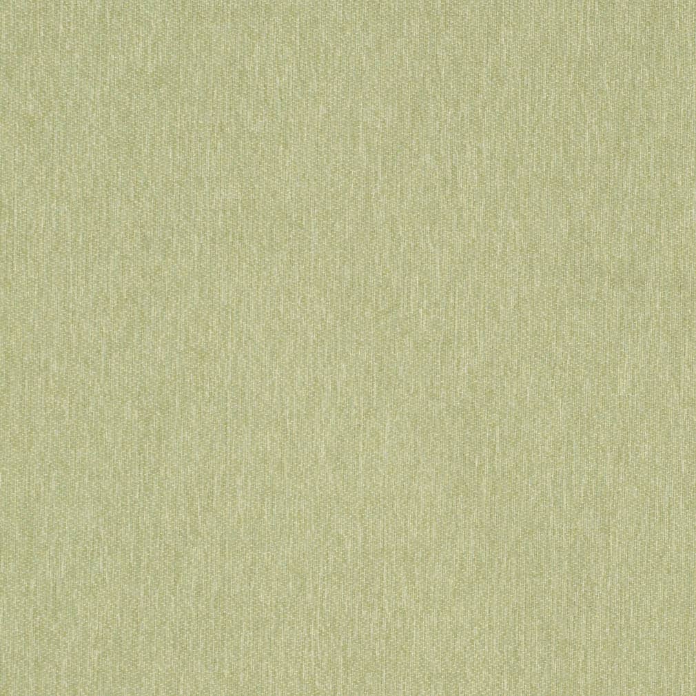 D3641 Moss 1