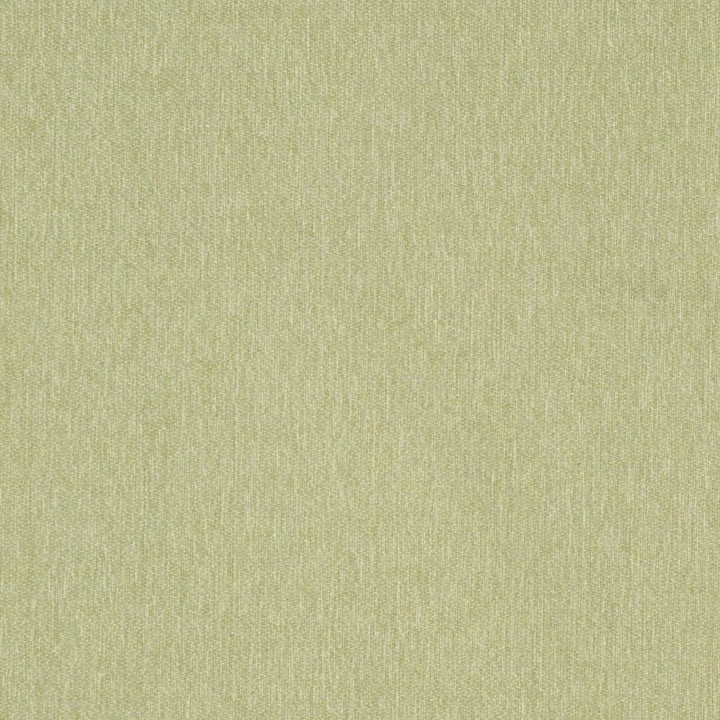 D3641 Moss 1