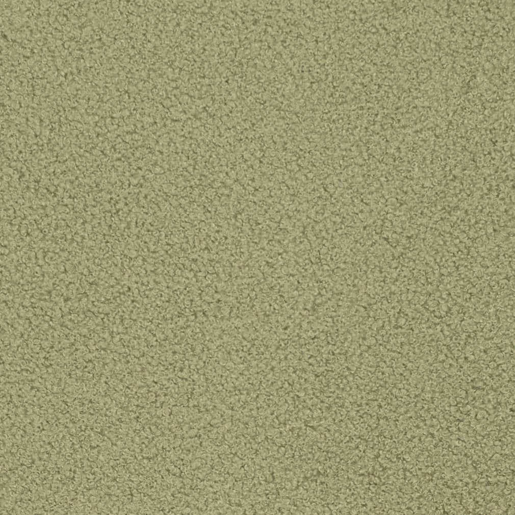 D3620 Sage 1