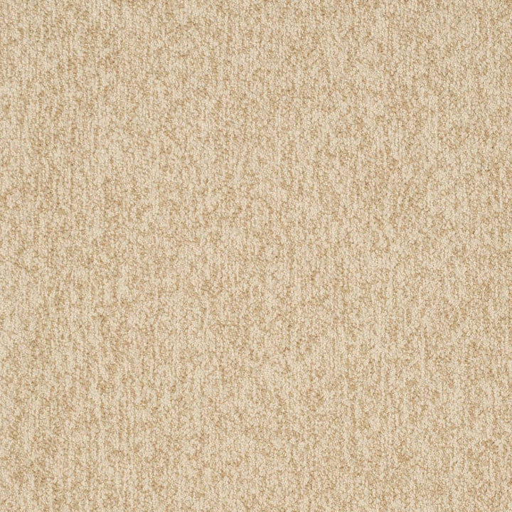 D3653 Sand 1