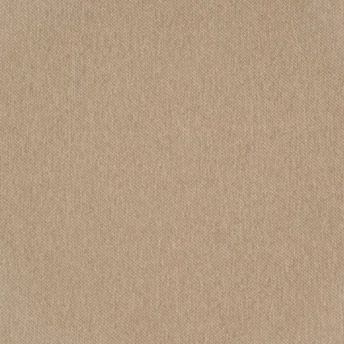 D3639 Camel