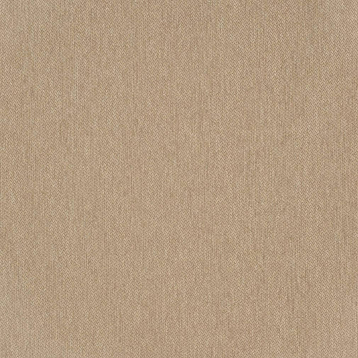 D3639 Camel 1