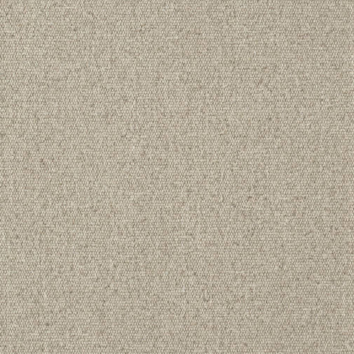 D3649 Flax 1