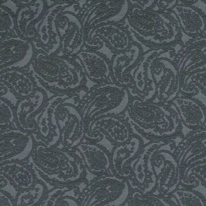 D3582 Indigo Paisley