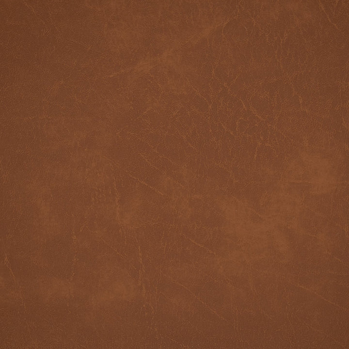 Greenhouse Fabrics 70369 Buck upholstery fabric in Buck color, ideal for interior decor and furniture upholstery projects.