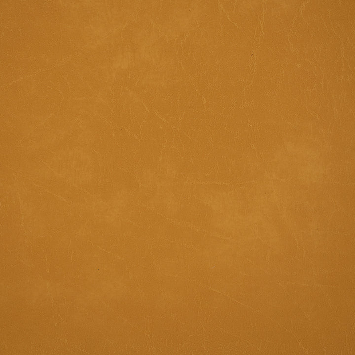Artistic presentation of Greenhouse Fabrics fabric suited for various interior styles.