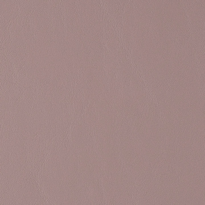 Greenhouse Fabrics 72352 Medium Beige upholstery fabric in Beige color, ideal for interior decor and furniture upholstery projects.