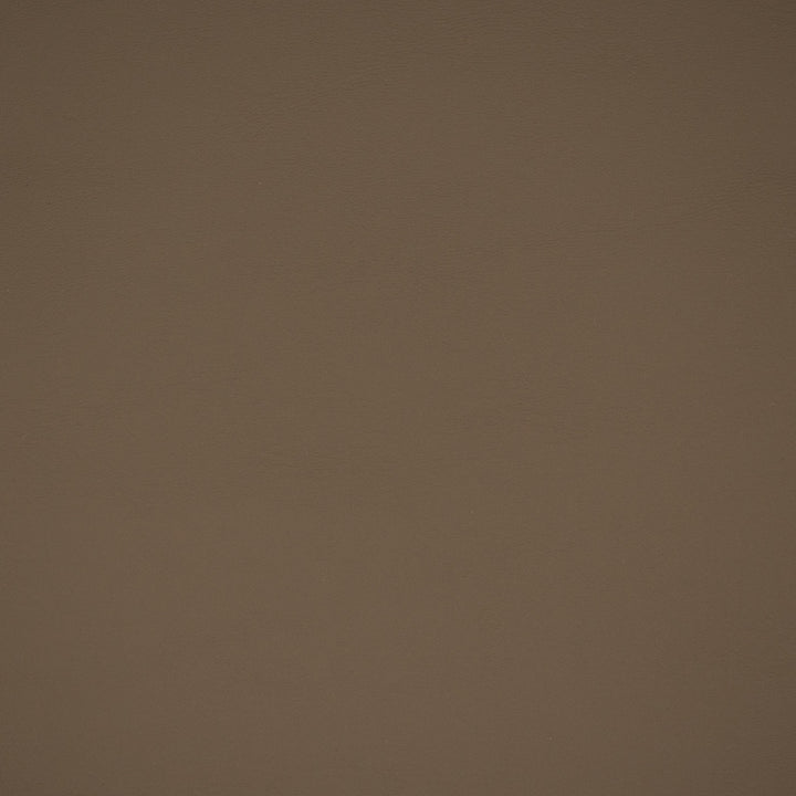Greenhouse Fabrics 73666 Medium Neutral upholstery fabric in Neutral color, ideal for interior decor and furniture upholstery projects.