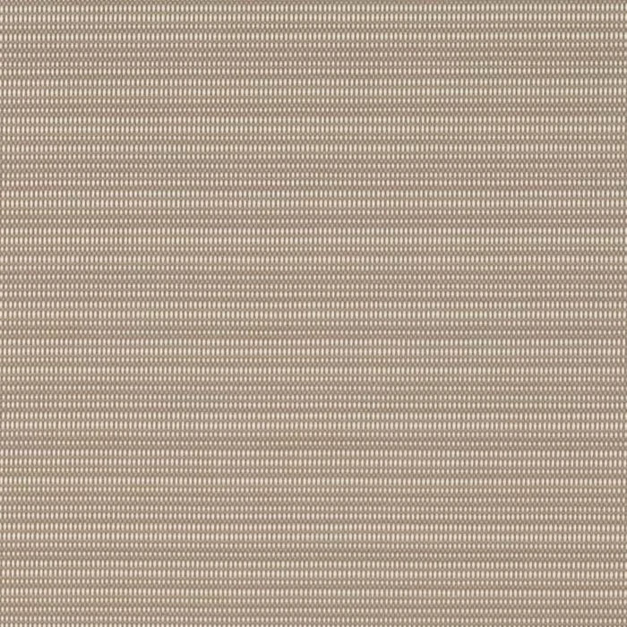 D2850 Mushroom