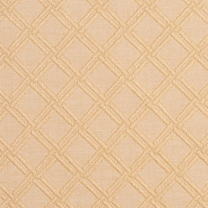 5553 Natural/Diamond 1