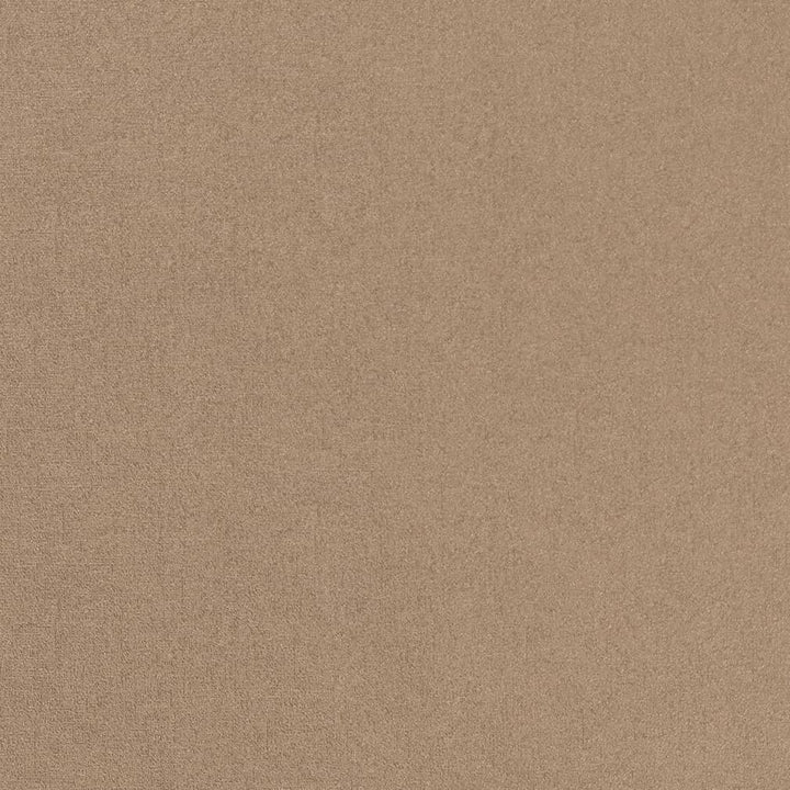 V734 Latte 1