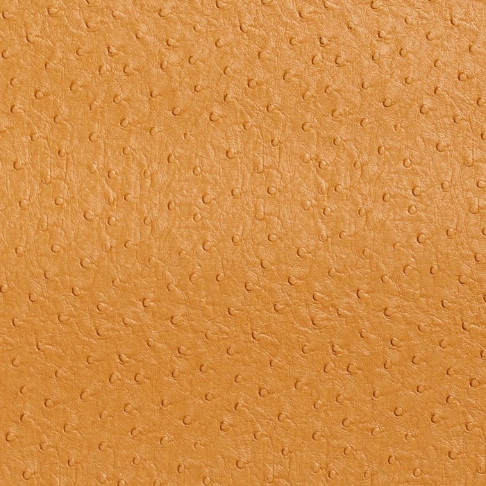 7705 Camel