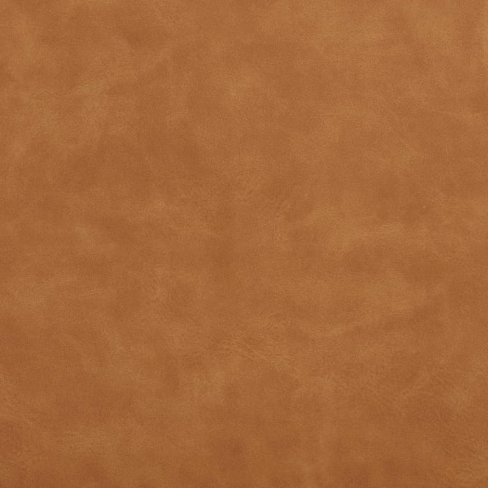 V238 Buckskin