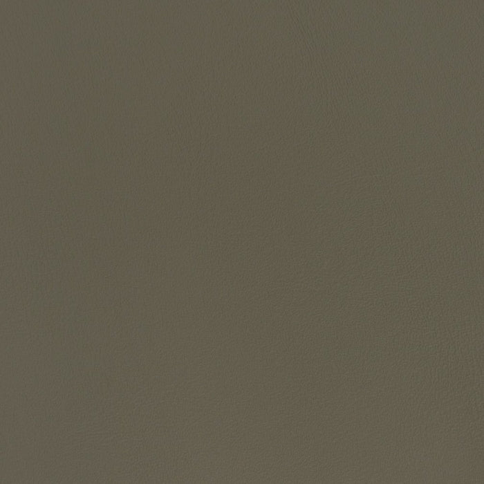 V361 Fog