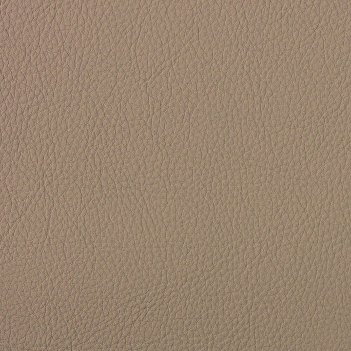 Greenhouse Fabrics A4090 Papyrus upholstery fabric in Papyrus color, ideal for interior decor and furniture upholstery projects.