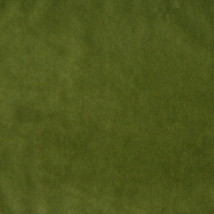 Detailed texture of Greenhouse Fabrics fabric for premium interior decor.