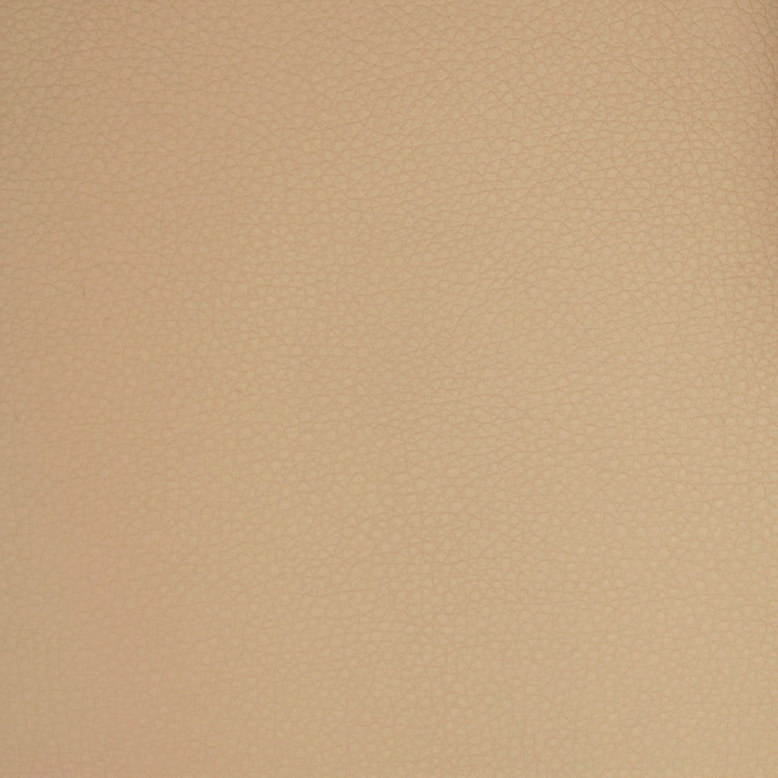 Greenhouse Fabrics A9203 Cream neutral contract vinyl swatch