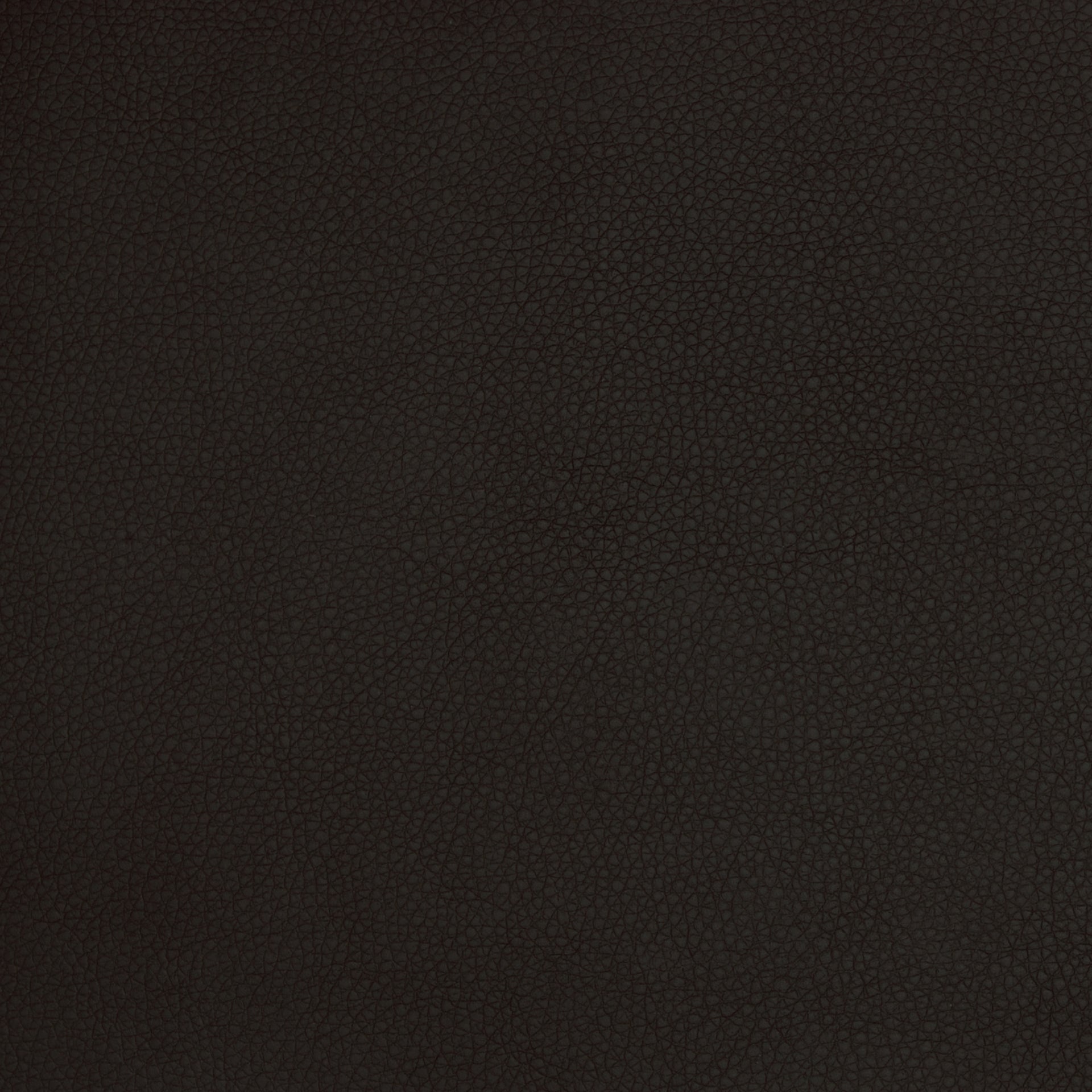 A9212 Black in Greenhouse Fabrics A9212 Black by Greenhouse Fabrics – high-quality, durable upholstery fabric ideal for sofas, chairs, and home decor projects. Adds style and resilience to any interior setting.