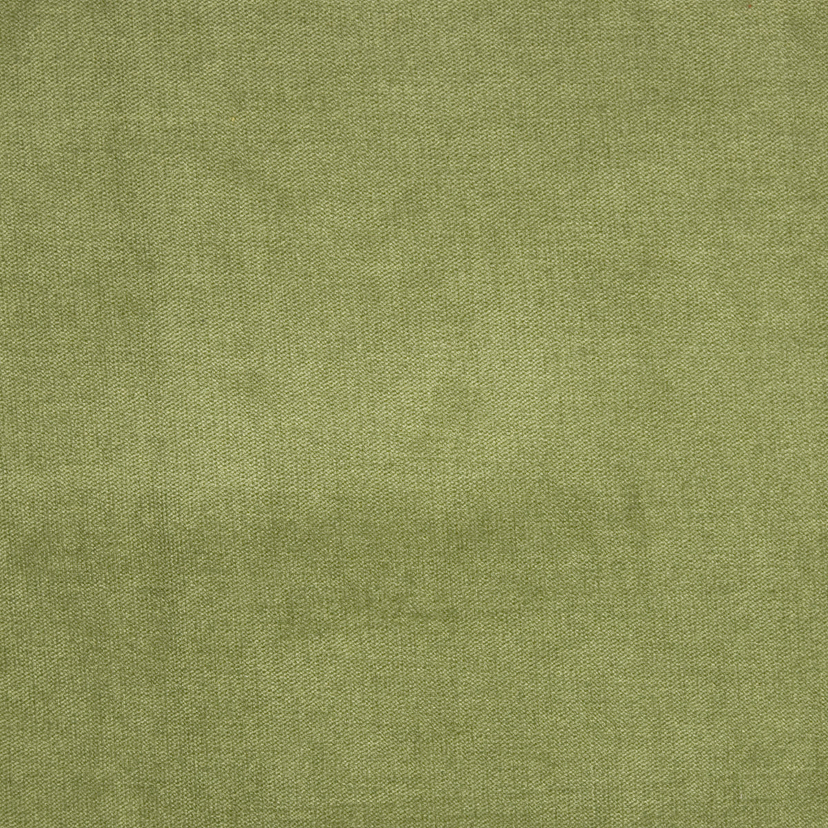 Close-up of Greenhouse Fabrics fabric, perfect for upholstery and home projects.