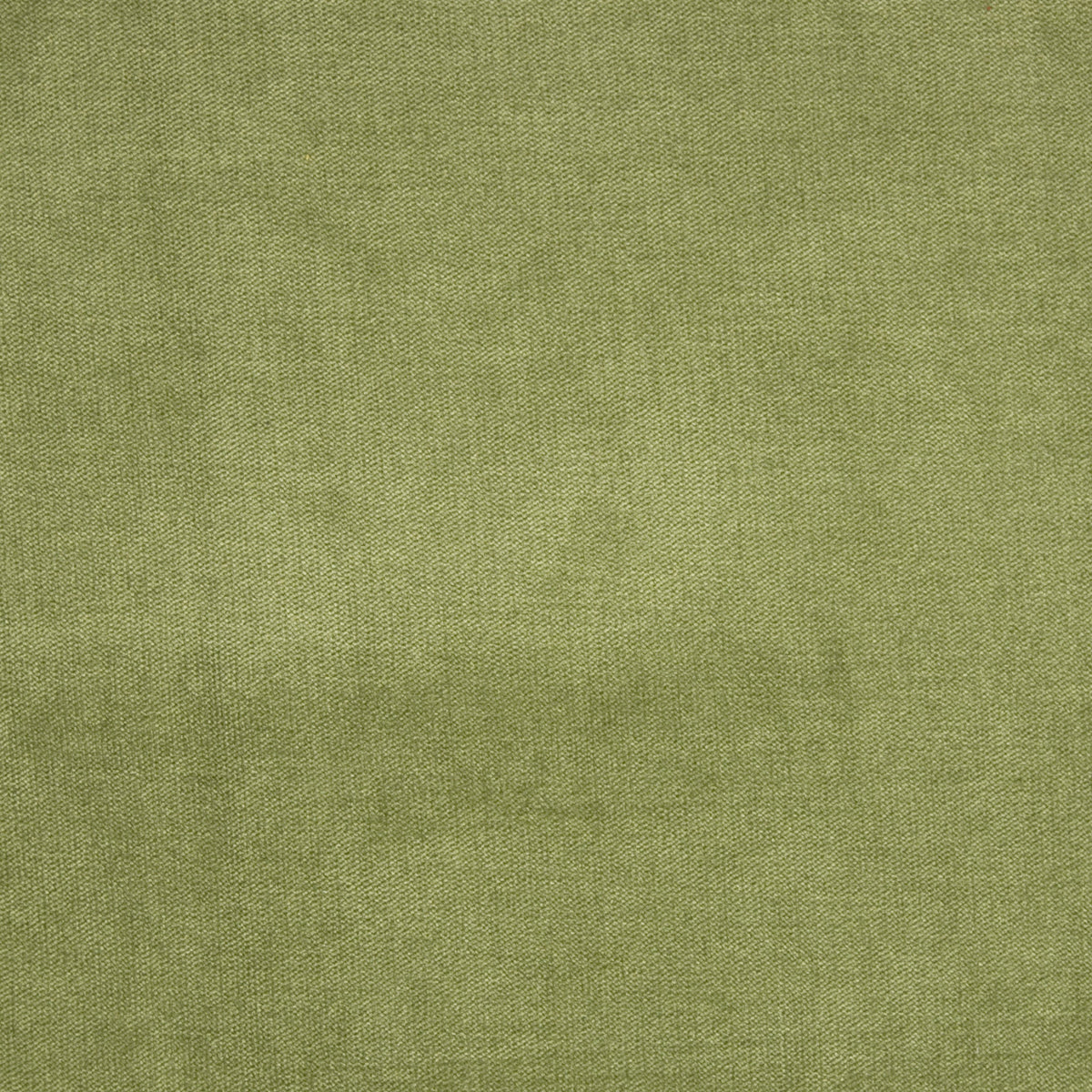 Close-up of Greenhouse Fabrics fabric, perfect for upholstery and home projects.