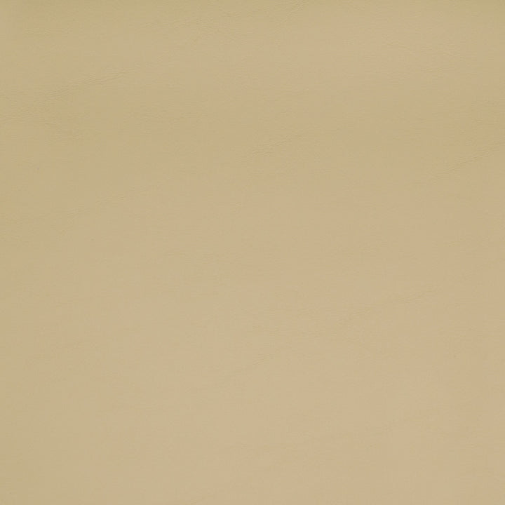 Greenhouse Fabrics B2361 Allante Hideaway neutral upholstery vinyl swatch