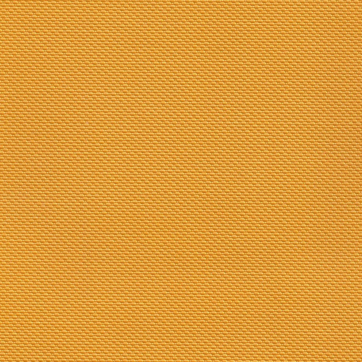Detailed texture of Greenhouse Fabrics fabric for premium interior decor.