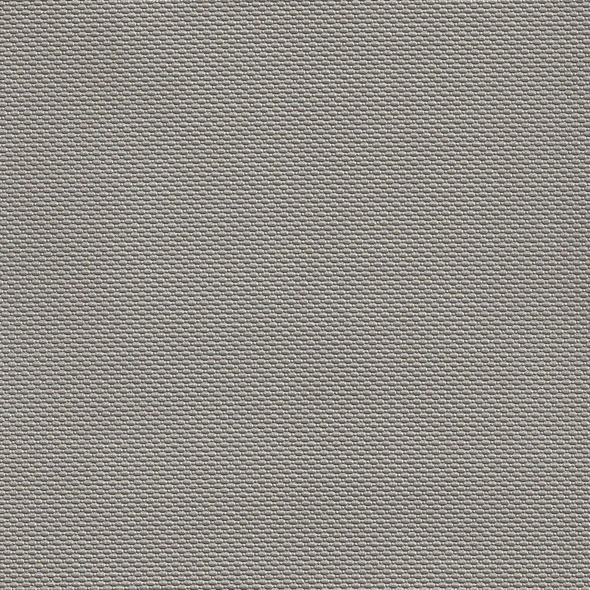 Versatile B5260 Trexx Metallic Putty fabric designed for elegant and durable decor.