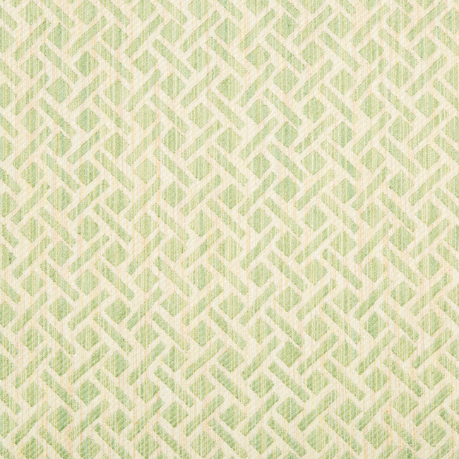 BRUNSCHWIG & FILS BARONET COMTE STRIE - CELERY 8017141.3.0