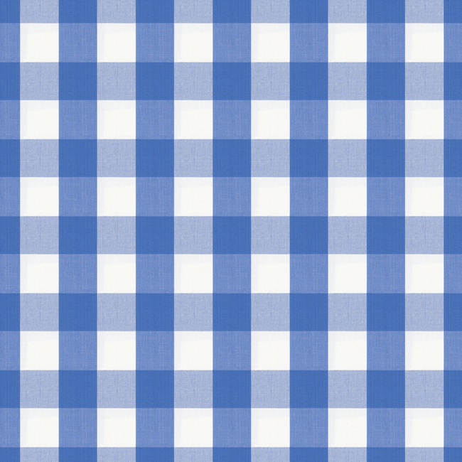 BRUNSCHWIG & FILS EXCHEQUER COTTON CHECK - CORNFLOWER BR-89725.235.0